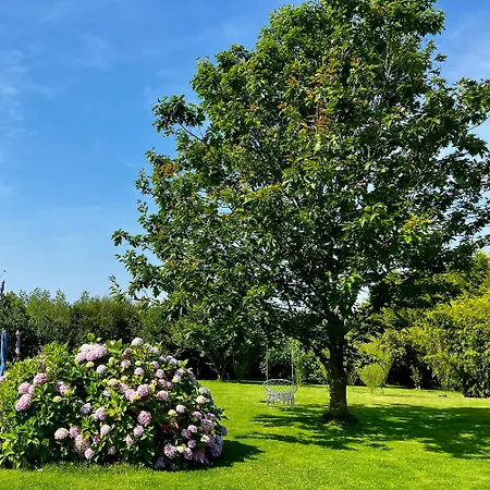 Bed and Breakfast La Maison De La Hulotte
