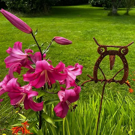 La Maison De La Hulotte 3* Golleville